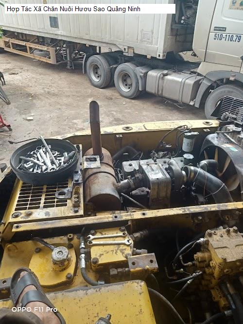 Danh sách 4 Cửa Hàng Yến Sào tại H. Quảng Ninh, T. Quảng Bình