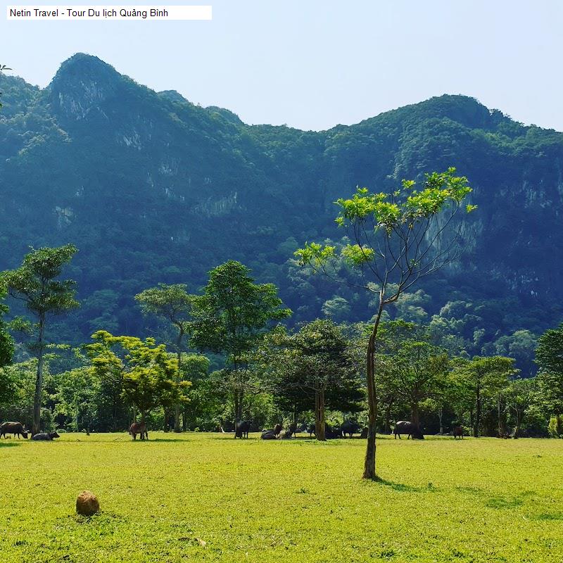 Netin Travel - Tour Du lịch Quảng Bình