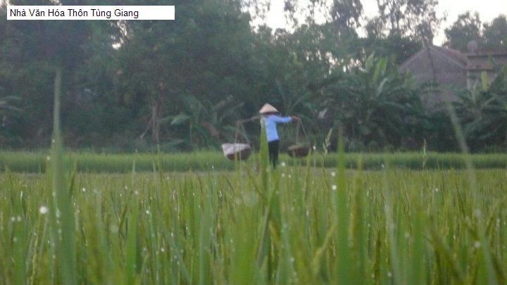 Nhà Văn Hóa Thôn Tùng Giang