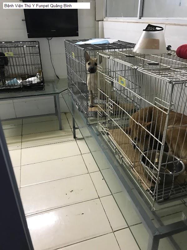 Bệnh Viện Thú Y Funpet Quảng Bình