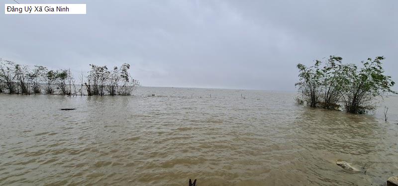 Đảng Uỷ Xã Gia Ninh