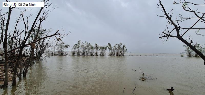 Đảng Uỷ Xã Gia Ninh