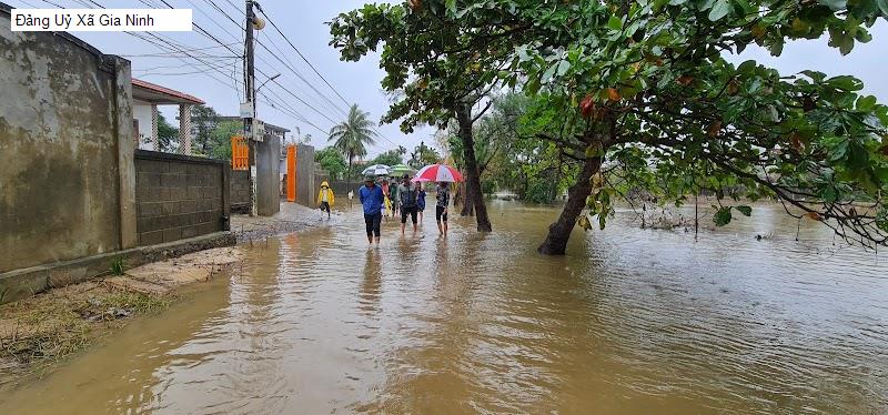 Đảng Uỷ Xã Gia Ninh