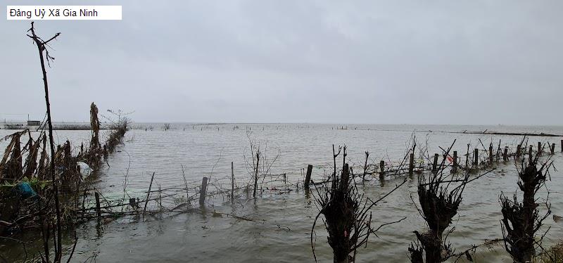 Đảng Uỷ Xã Gia Ninh