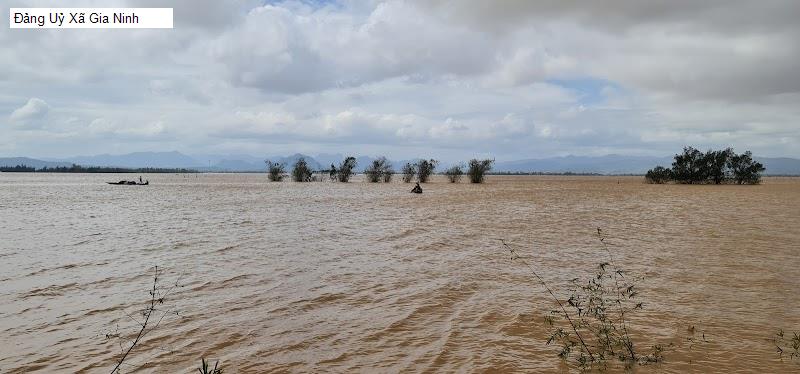 Đảng Uỷ Xã Gia Ninh