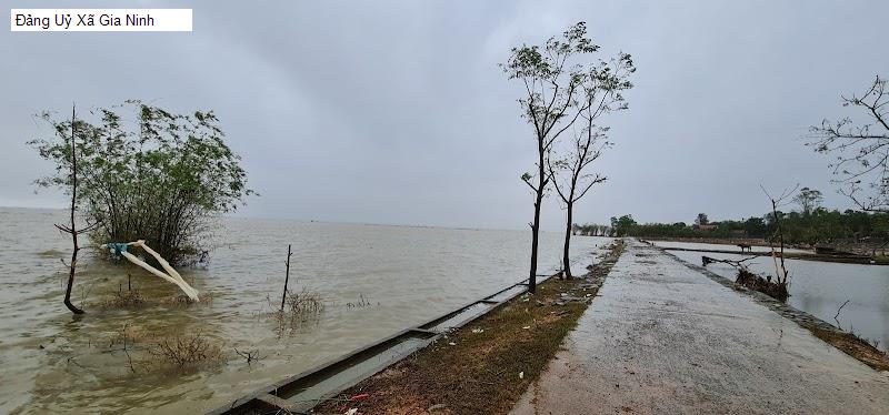 Đảng Uỷ Xã Gia Ninh