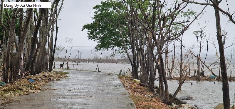 Đảng Uỷ Xã Gia Ninh